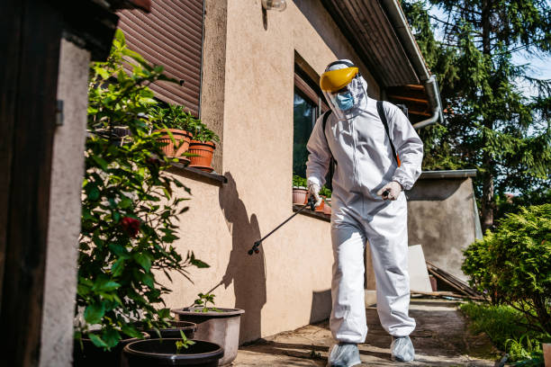 Best Wildlife Control Services  in Chesapeake, WV