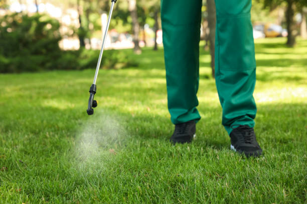 Best Affordable Pest Control Services  in Chesapeake, WV