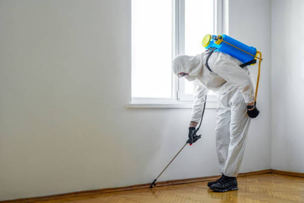 Best Insect Control  in Chesapeake, WV