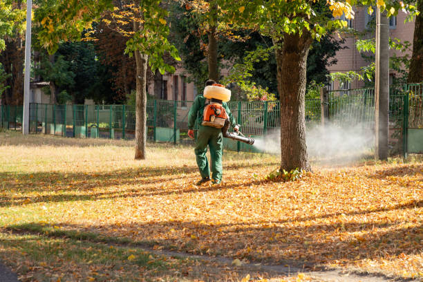 Best Pest Prevention Services  in Chesapeake, WV