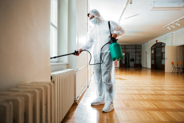 Best Pest Control Cost  in Chesapeake, WV